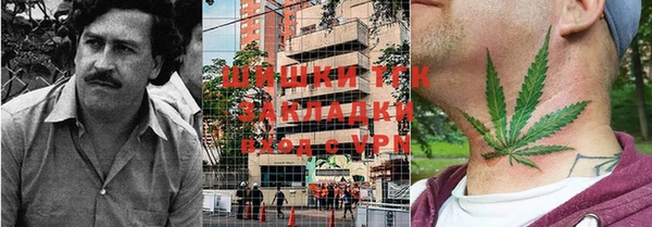 ПСИЛОЦИБИНОВЫЕ ГРИБЫ Арсеньев