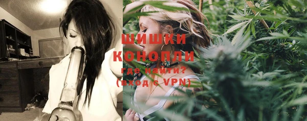 ПСИЛОЦИБИНОВЫЕ ГРИБЫ Арсеньев