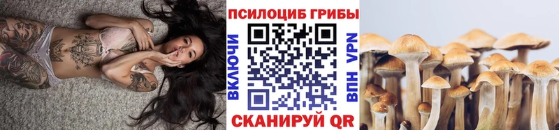Купить где  Нягань  Псилоцибиновые грибы Magic Shrooms 